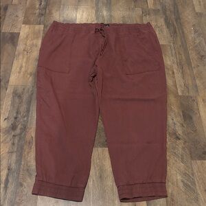 GAP Brick Red Casual Pants
